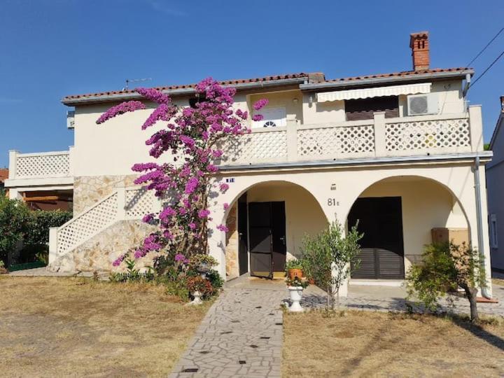 פרמנטורה Villa Kadinela, 200M From Kamenjak, Huge Quiet Garden With Barbecue, 2 New Kitchens מראה חיצוני תמונה