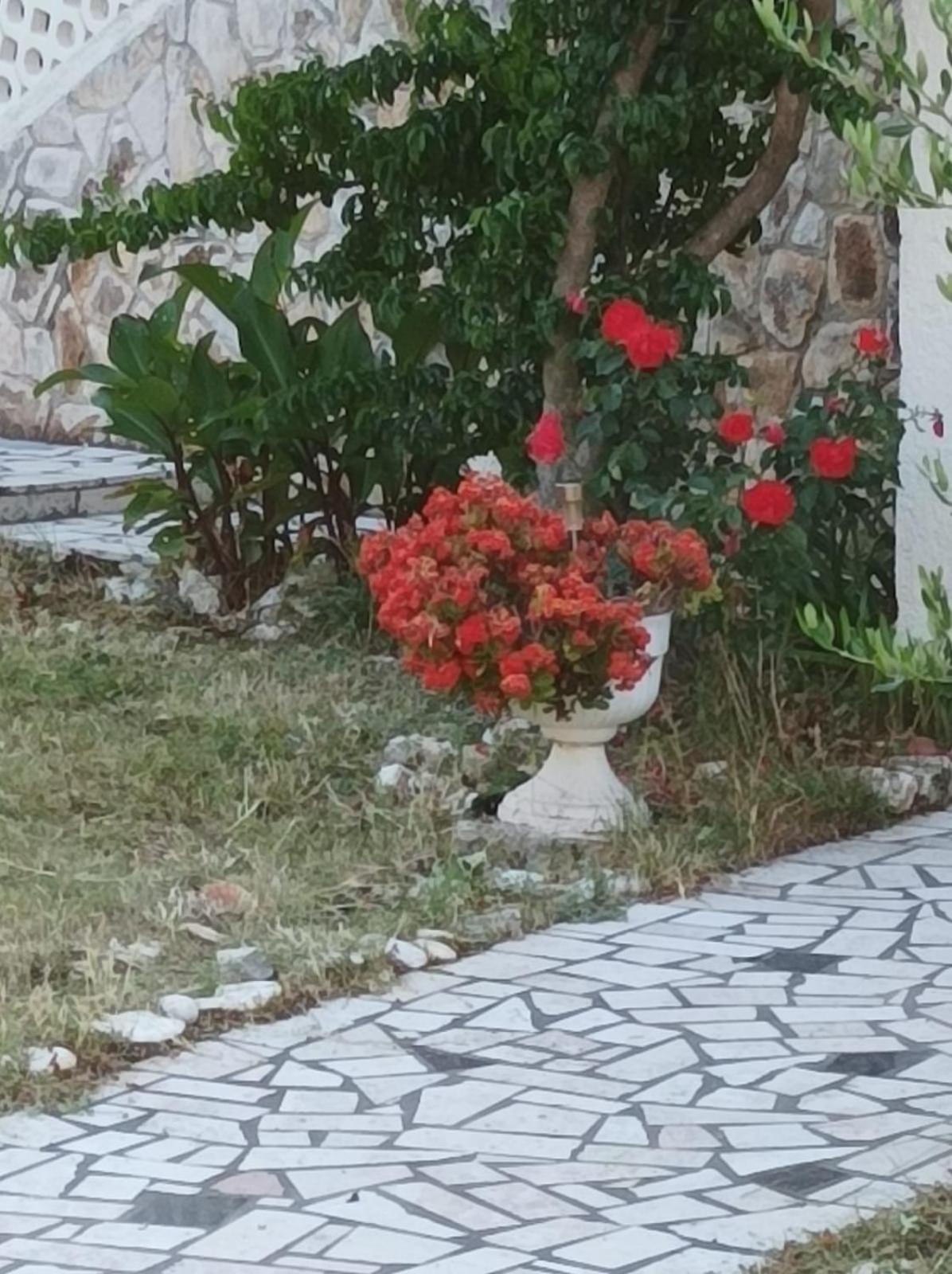 פרמנטורה Villa Kadinela, 200M From Kamenjak, Huge Quiet Garden With Barbecue, 2 New Kitchens מראה חיצוני תמונה